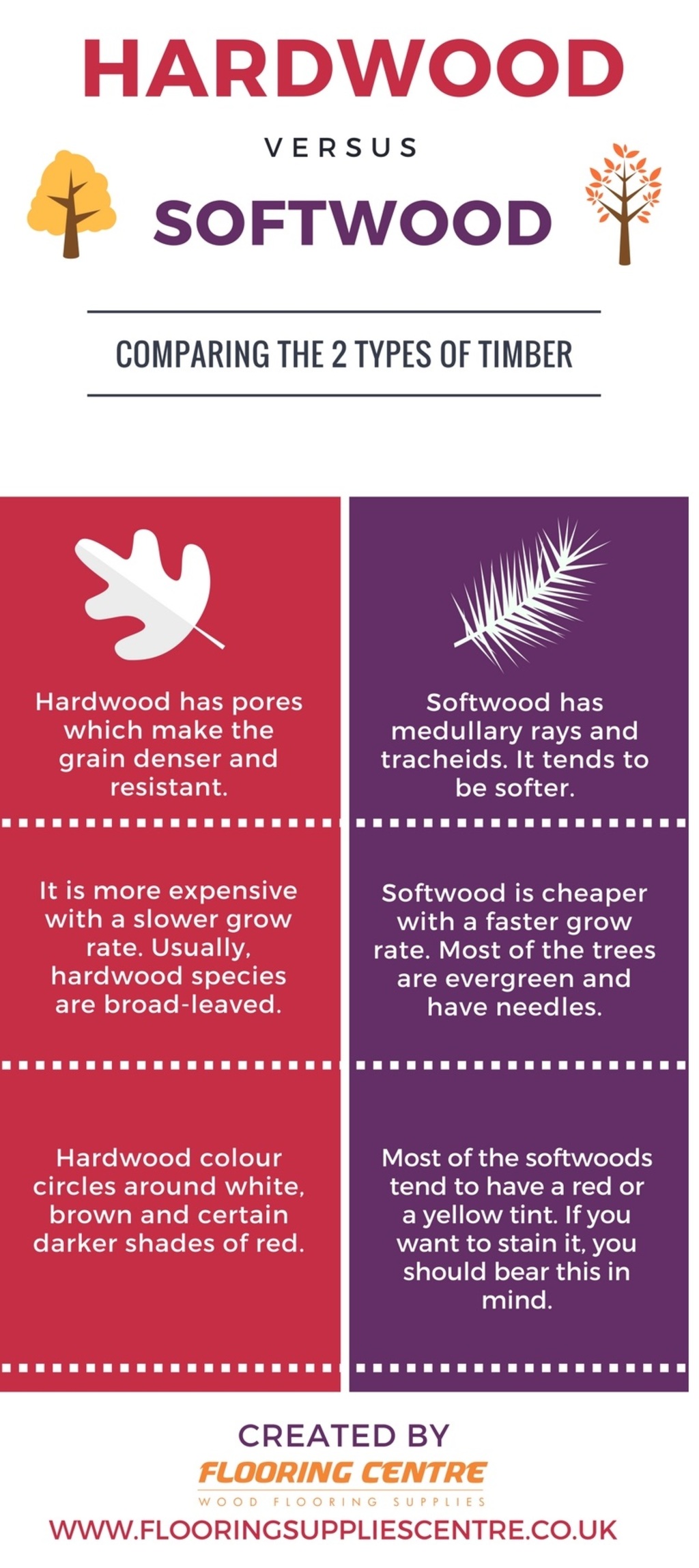 Infographic on differences between softwood and hardwood