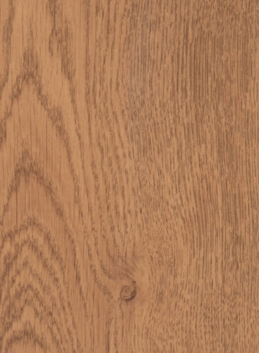 Aura Eastern Holm Oak Laminate Flooring, 8 mm Image 1