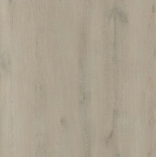 BML XL Titan Latte Oak SPC Rigid Vinyl Flooring, 228x6.5x1524mm Image 2