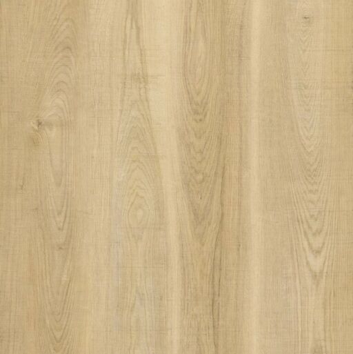 BML XL Titan Serene Oak SPC Rigid Vinyl Flooring, 228x6.5x1524mm Image 2