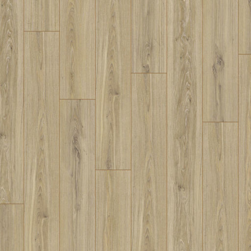 Robusto Phalsbourg Oak Laminate Flooring, 12mm Image 2