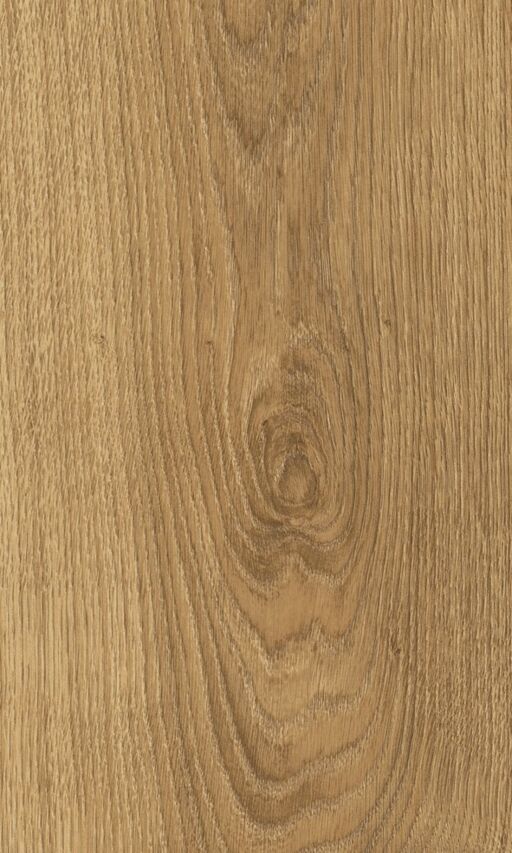 Woodland, Glenmore Oak Laminate Flooring, 8mm Image 1