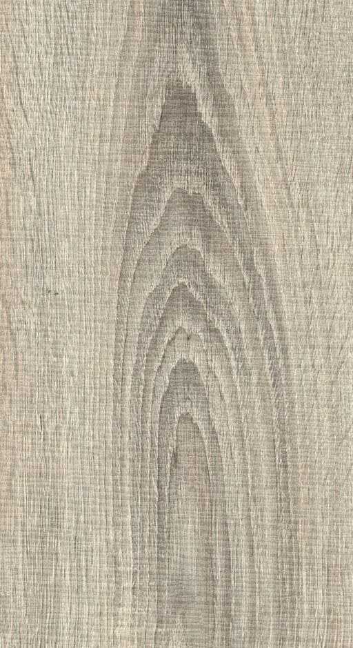 Woodland, Wyre Oak Laminate Flooring, 8mm Image 1