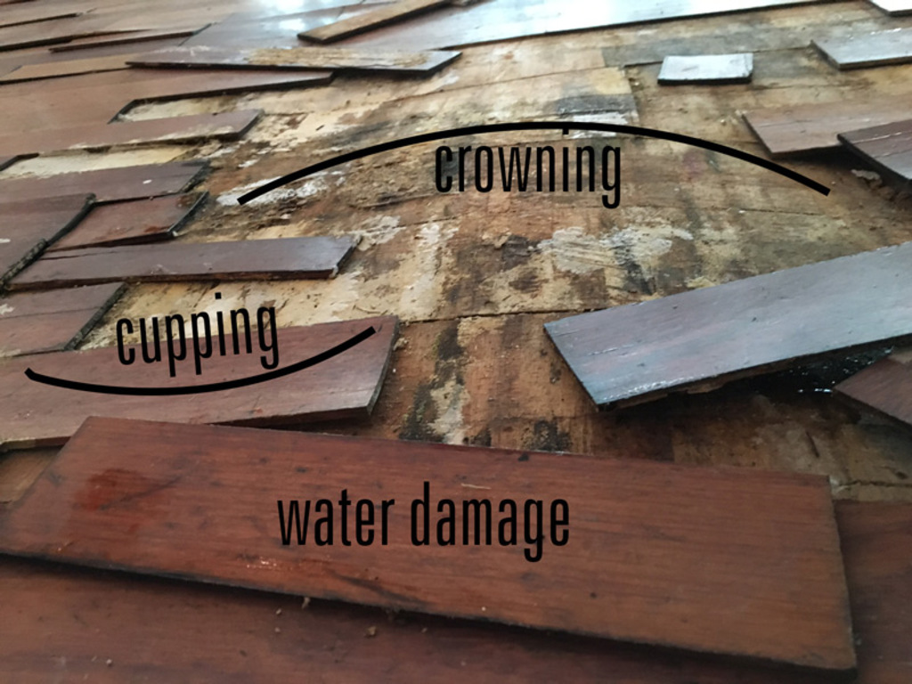 Seasonal issues concerning real wood flooring