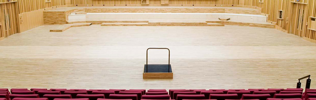 Strip Flooring from Junckers