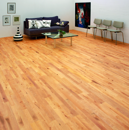 Junckers Beech Solid 2-Strip Wood Flooring, Ultra Matt Lacquered, Variation, 129x14mm