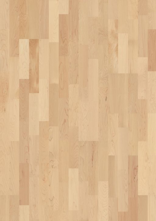 Boen Andante Maple Canadian Engineered 3-Strip Flooring, Matt Lacquered, 215x3x14 mm