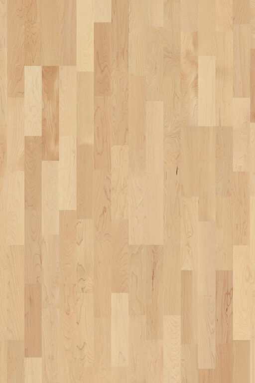 Boen Andante Maple Canadian Engineered 3-Strip Flooring, Oiled, 215x14x2200mm