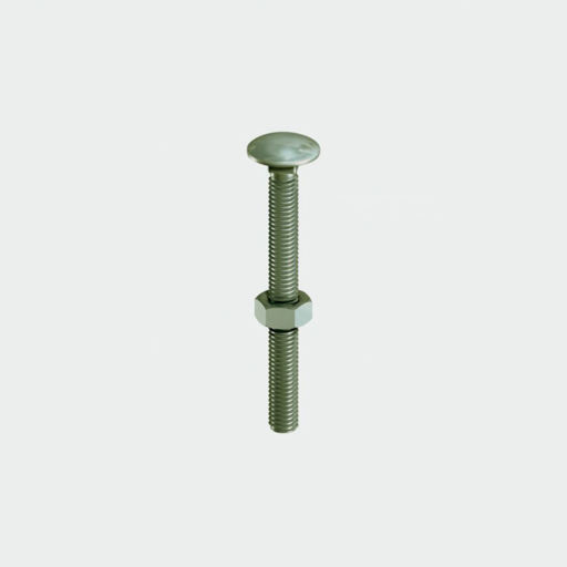 In-Dex Coach Bolt, Nut & Washer, 10x100mm, 10pk