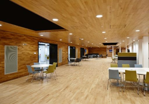Junckers Beech Solid 2-Strip Wood Flooring, Silk Matt Lacquered, Harmony, 129x22 mm